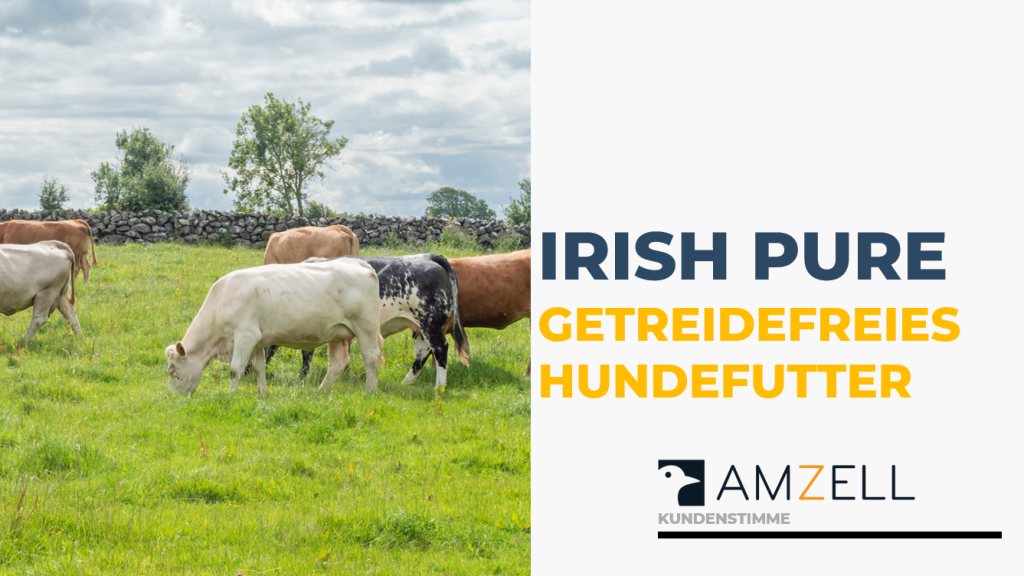 Irish Pure Kundenstimmen Banner für getreidefreies Hundefutter